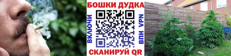 Названия наркотиков Гатчина Кодеин Alpha-PVP Бошки Шишки ГАШ КОКАИН Амфетамин