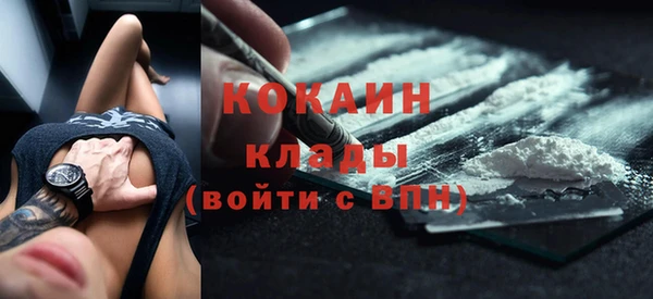не бодяженный Бородино