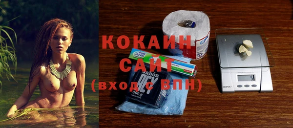 не бодяженный Бородино